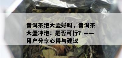 普洱茶泡大壶好吗，普洱茶大壶冲泡：是否可行？——用户分享心得与建议