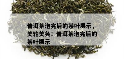 普洱茶泡完后的茶叶展示，美轮美奂：普洱茶泡完后的茶叶展示