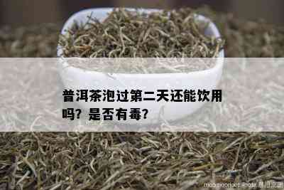 普洱茶泡过第二天还能饮用吗？是否有？