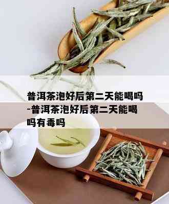 普洱茶泡好后第二天能喝吗-普洱茶泡好后第二天能喝吗有吗