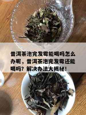 普洱茶泡完发霉能喝吗怎么办呢，普洱茶泡完发霉还能喝吗？解决办法大揭秘！