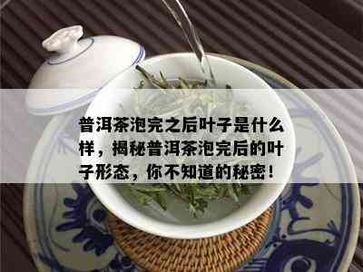 普洱茶泡完之后叶子是什么样，揭秘普洱茶泡完后的叶子形态，你不知道的秘密！