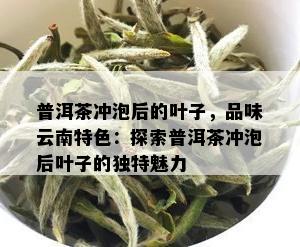 普洱茶冲泡后的叶子，品味云南特色：探索普洱茶冲泡后叶子的独特魅力