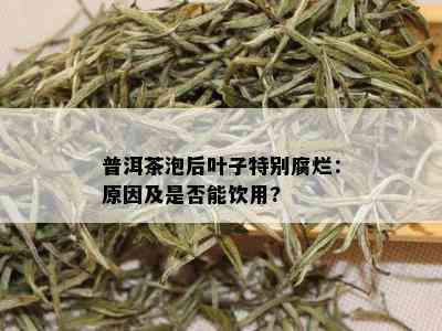 普洱茶泡后叶子特别腐烂：原因及是否能饮用?