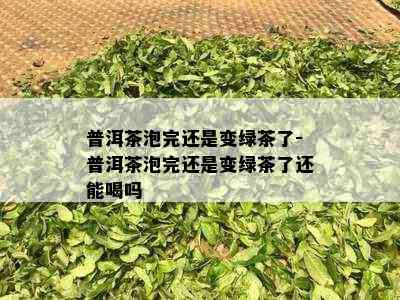 普洱茶泡完还是变绿茶了-普洱茶泡完还是变绿茶了还能喝吗