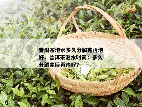 普洱茶泡水多久分解完再泡好，普洱茶泡水时间：多久分解完后再泡好？