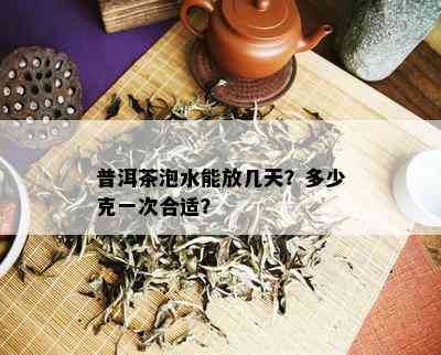 普洱茶泡水能放几天？多少克一次合适？