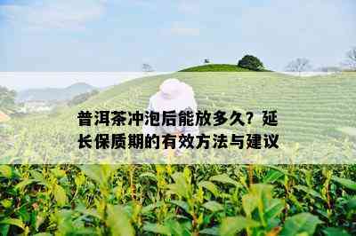 普洱茶冲泡后能放多久？延长保质期的有效方法与建议