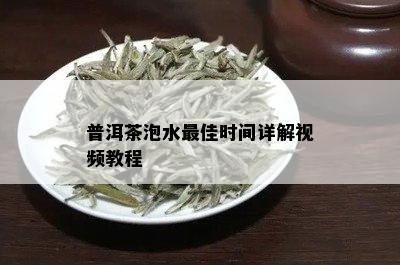 普洱茶泡水更佳时间详解视频教程