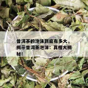 普洱茶的泡沫到底有多大，揭示普洱茶泡沫：真相大揭秘！