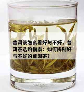 普洱茶怎么看好与不好，普洱茶选购指南：如何辨别好与不好的普洱茶？