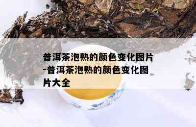 普洱茶泡熟的颜色变化图片-普洱茶泡熟的颜色变化图片大全