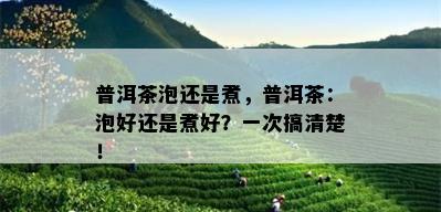 普洱茶泡还是煮，普洱茶：泡好还是煮好？一次搞清楚！