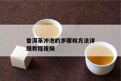 普洱茶冲泡的步骤和方法详细教程视频