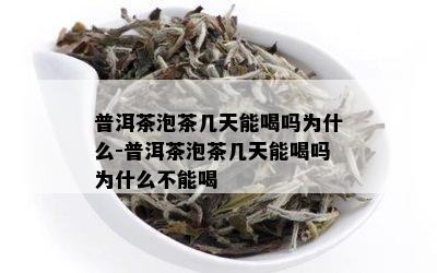 普洱茶泡茶几天能喝吗为什么-普洱茶泡茶几天能喝吗为什么不能喝