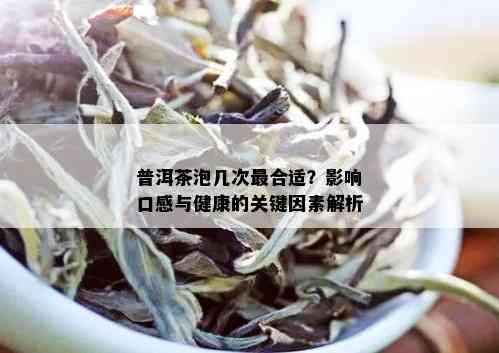 普洱茶泡几次最合适？影响口感与健康的关键因素解析