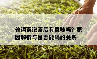 普洱茶泡茶后有臭味吗？原因解析与是否能喝的关系