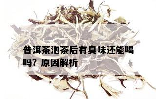 普洱茶泡茶后有臭味还能喝吗？原因解析