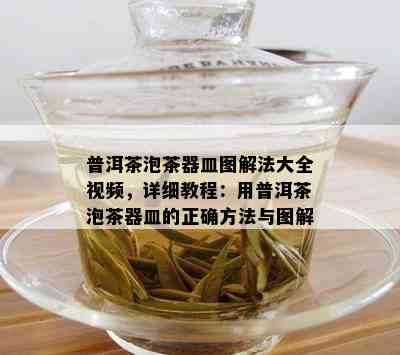 普洱茶泡茶器皿图解法大全视频，详细教程：用普洱茶泡茶器皿的正确方法与图解