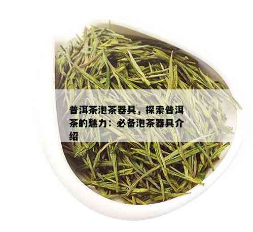 普洱茶泡茶器具，探索普洱茶的魅力：必备泡茶器具介绍