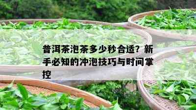 普洱茶泡茶多少秒合适？新手必知的冲泡技巧与时间掌控