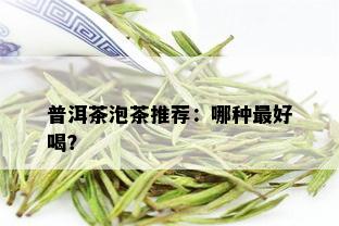 普洱茶泡茶推荐：哪种更好喝？