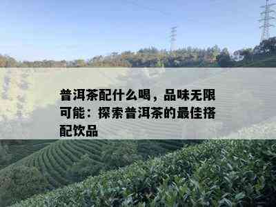 普洱茶配什么喝，品味无限可能：探索普洱茶的更佳搭配饮品