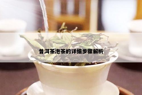 普洱茶泡茶的详细步骤解析