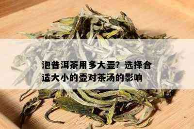 泡普洱茶用多大壶？选择合适大小的壶对茶汤的影响