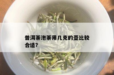 普洱茶泡茶用几克的壶比较合适？