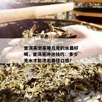 普洱茶泡茶用几克的水更好喝，普洱茶冲泡技巧：多少克水才能泡出更佳口感？