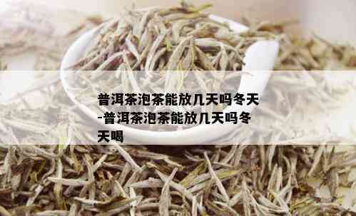 普洱茶泡茶能放几天吗冬天-普洱茶泡茶能放几天吗冬天喝