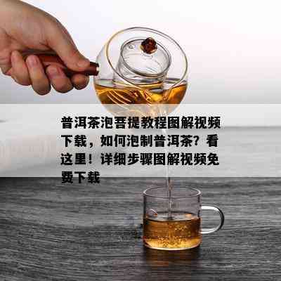 普洱茶泡菩提教程图解视频下载，如何泡制普洱茶？看这里！详细步骤图解视频免费下载