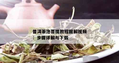 普洱茶泡菩提教程图解视频：步骤详解与下载