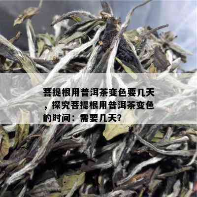 菩提根用普洱茶变色要几天，探究菩提根用普洱茶变色的时间：需要几天？