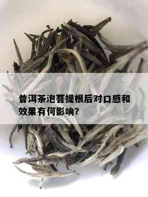 普洱茶泡菩提根后对口感和效果有何影响？