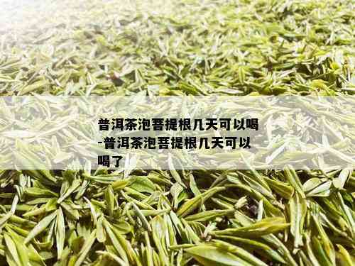 普洱茶泡菩提根几天可以喝-普洱茶泡菩提根几天可以喝了