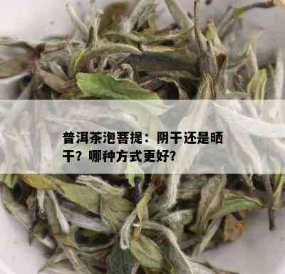 普洱茶泡菩提：阴干还是晒干？哪种方式更好？