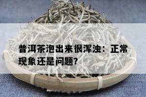 普洱茶泡出来很浑浊：正常现象还是问题？