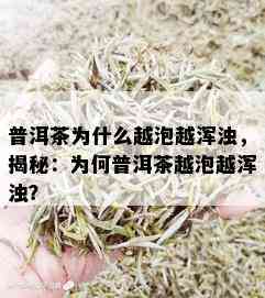 普洱茶为什么越泡越浑浊，揭秘：为何普洱茶越泡越浑浊？