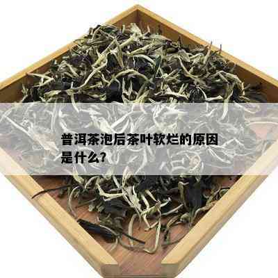 普洱茶泡后茶叶软烂的原因是什么？