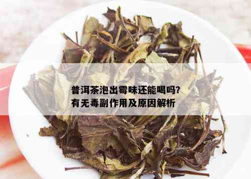 普洱茶泡出霉味还能喝吗？有无副作用及原因解析