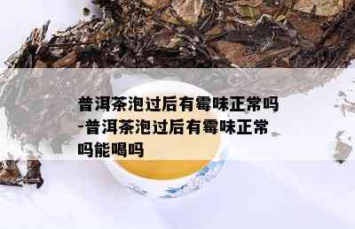 普洱茶泡过后有霉味正常吗-普洱茶泡过后有霉味正常吗能喝吗