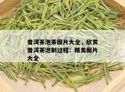 普洱茶泡茶图片大全，欣赏普洱茶泡制过程：精美图片大全