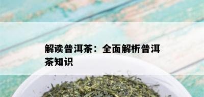 解读普洱茶：全面解析普洱茶知识