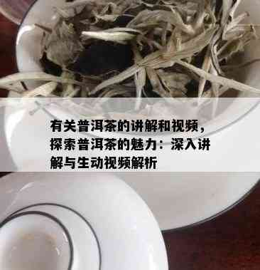 有关普洱茶的讲解和视频，探索普洱茶的魅力：深入讲解与生动视频解析