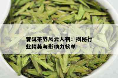 普洱茶界风云人物：揭秘行业精英与影响力榜单