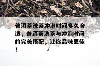 普洱茶洗茶冲泡时间多久合适，普洱茶洗茶与冲泡时间的完美搭配，让你品味更佳！