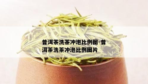 普洱茶洗茶冲泡比例图-普洱茶洗茶冲泡比例图片