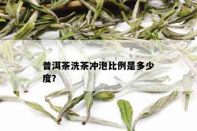 普洱茶洗茶冲泡比例是多少度？